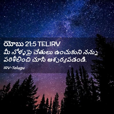 Picture 02 - యోబు 21:5 TELIRV - మీ నోళ్ళపై చేతులు - Bible Verse Picture