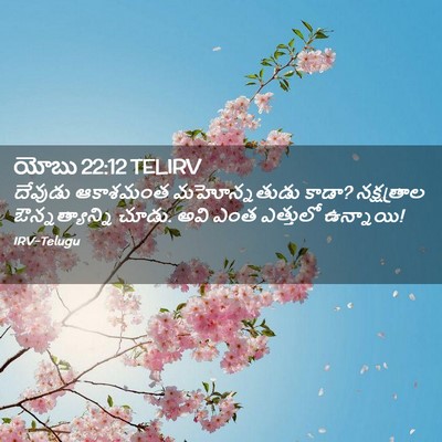 Picture 02 - యోబు 22:12 TELIRV - దేవుడు ఆకాశమంత - Bible Verse Picture