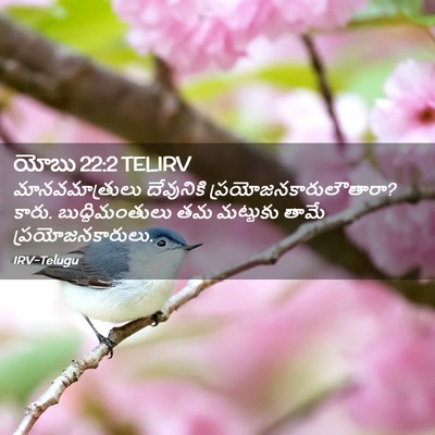 Picture 02 - యోబు 22:2 TELIRV - మానవమాత్రులు - Bible Verse Picture