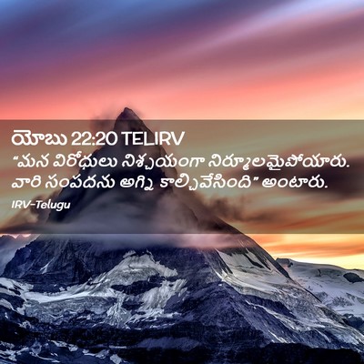 Picture 02 - యోబు 22:20 TELIRV - “మన విరోధులు - Bible Verse Picture