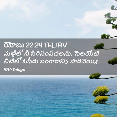 Picture 02 - యోబు 22:24 TELIRV - మట్టిలో నీ - Bible Verse Picture