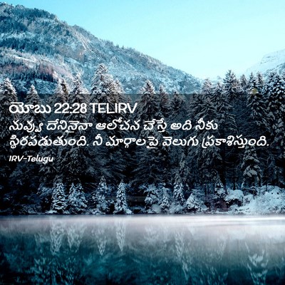 Picture 02 - యోబు 22:28 TELIRV - నువ్వు దేనినైనా - Bible Verse Picture