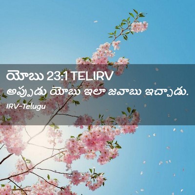 Picture 02 - యోబు 23:1 TELIRV - అప్పుడు యోబు ఇలా - Bible Verse Picture