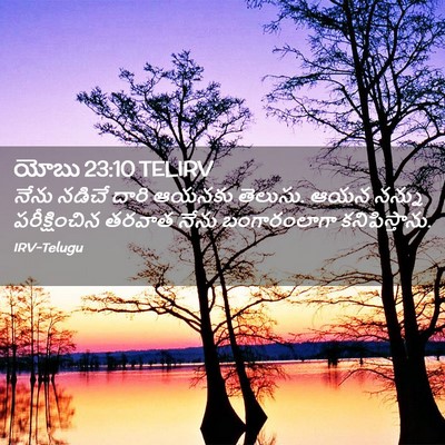 Picture 02 - యోబు 23:10 TELIRV - నేను నడిచే దారి - Bible Verse Picture