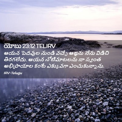 Picture 02 - యోబు 23:12 TELIRV - ఆయన పెదవుల నుండి - Bible Verse Picture