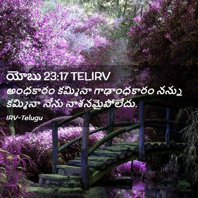 Picture 02 - యోబు 23:17 TELIRV - అంధకారం కమ్మినా - Bible Verse Picture