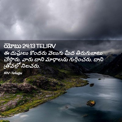 Picture 02 - యోబు 24:13 TELIRV - ఈ దుష్టులు కొందరు - Bible Verse Picture