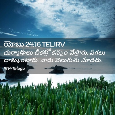 Picture 02 - యోబు 24:16 TELIRV - దుర్మార్గులు - Bible Verse Picture