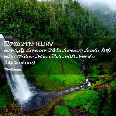 Picture 02 - యోబు 24:19 TELIRV - అనావృష్టి మూలంగా - Bible Verse Picture