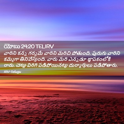 Picture 02 - యోబు 24:20 TELIRV - వారిని కన్న - Bible Verse Picture