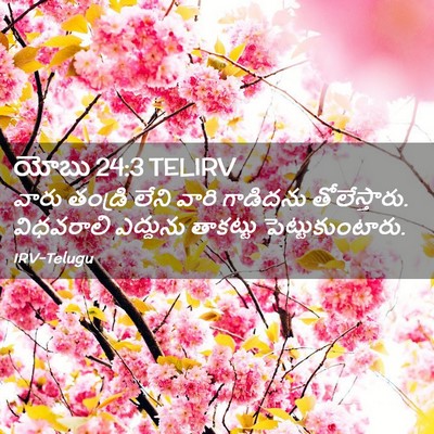 Picture 02 - యోబు 24:3 TELIRV - వారు తండ్రి లేని - Bible Verse Picture