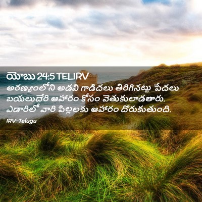 Picture 02 - యోబు 24:5 TELIRV - అరణ్యంలోని అడవి - Bible Verse Picture