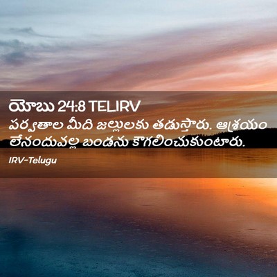 Picture 02 - యోబు 24:8 TELIRV - పర్వతాల మీది - Bible Verse Picture