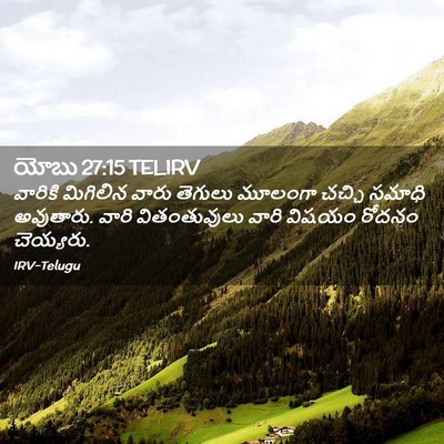 Picture 02 - యోబు 27:15 TELIRV - వారికి మిగిలిన - Bible Verse Picture