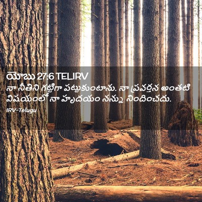 Picture 02 - యోబు 27:6 TELIRV - నా నీతిని గట్టిగా - Bible Verse Picture