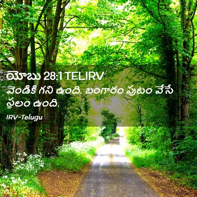 Picture 02 - యోబు 28:1 TELIRV - వెండికి గని ఉంది. - Bible Verse Picture