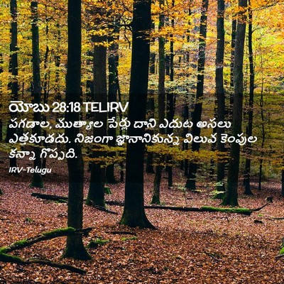 Picture 02 - యోబు 28:18 TELIRV - పగడాల, ముత్యాల - Bible Verse Picture