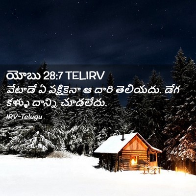Picture 02 - యోబు 28:7 TELIRV - వేటాడే ఏ - Bible Verse Picture
