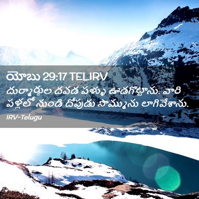 Picture 02 - యోబు 29:17 TELIRV - దుర్మార్గుల దవడ - Bible Verse Picture