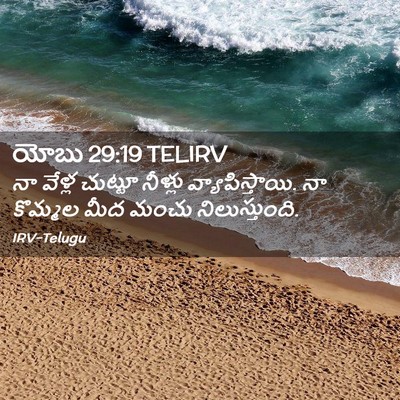 Picture 02 - యోబు 29:19 TELIRV - నా వేళ్ల చుట్టూ - Bible Verse Picture