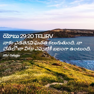 Picture 02 - యోబు 29:20 TELIRV - నాకు ఎడతెగని ఘనత - Bible Verse Picture