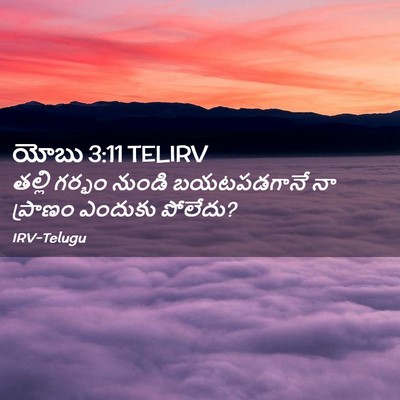 Picture 02 - యోబు 3:11 TELIRV - తల్లి గర్భం నుండి - Bible Verse Picture