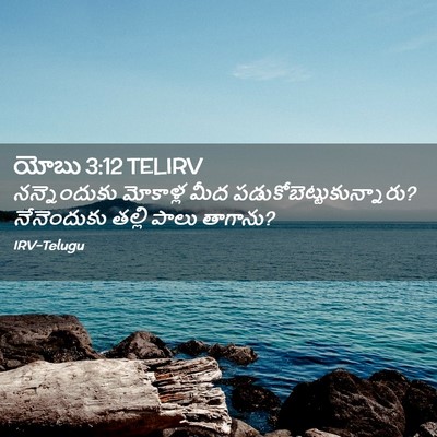 Picture 02 - యోబు 3:12 TELIRV - నన్నెందుకు - Bible Verse Picture
