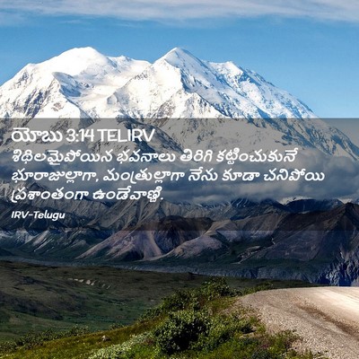 Picture 02 - యోబు 3:14 TELIRV - శిథిలమైపోయిన - Bible Verse Picture