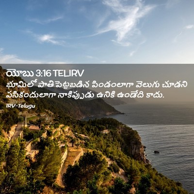 Picture 02 - యోబు 3:16 TELIRV - భూమిలో - Bible Verse Picture