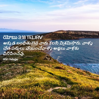 Picture 02 - యోబు 3:18 TELIRV - అక్కడ బంధితులైన - Bible Verse Picture
