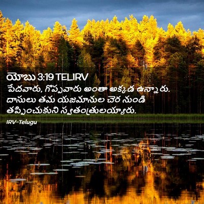 Picture 02 - యోబు 3:19 TELIRV - పేదవారు, - Bible Verse Picture