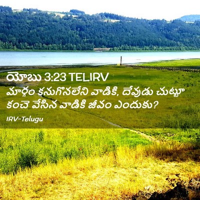 Picture 02 - యోబు 3:23 TELIRV - మార్గం కనుగొనలేని - Bible Verse Picture