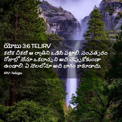 Picture 02 - యోబు 3:6 TELIRV - కటిక చీకటి ఆ - Bible Verse Picture
