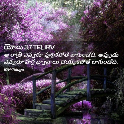 Picture 02 - యోబు 3:7 TELIRV - ఆ రాత్రి ఎవ్వరూ - Bible Verse Picture