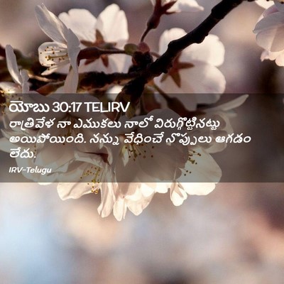 Picture 02 - యోబు 30:17 TELIRV - రాత్రివేళ నా - Bible Verse Picture