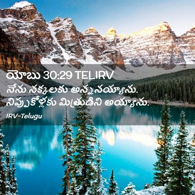 Picture 02 - యోబు 30:29 TELIRV - నేను నక్కలకు - Bible Verse Picture