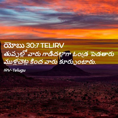 Picture 02 - యోబు 30:7 TELIRV - తుప్పల్లో వారు - Bible Verse Picture