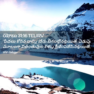 Picture 02 - యోబు 31:16 TELIRV - పేదలు కోరిన - Bible Verse Picture