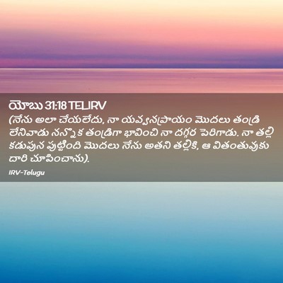 Picture 02 - యోబు 31:18 TELIRV - (నేను అలా చేయలేదు, - Bible Verse Picture