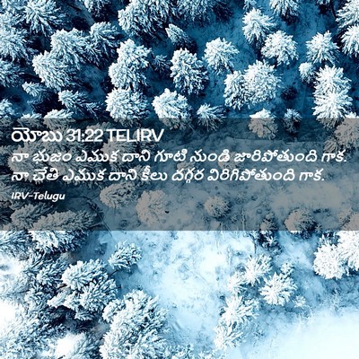 Picture 02 - యోబు 31:22 TELIRV - నా భుజం ఎముక దాని - Bible Verse Picture