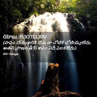 Picture 02 - యోబు 31:30 TELIRV - (పాపం చేయడానికి - Bible Verse Picture