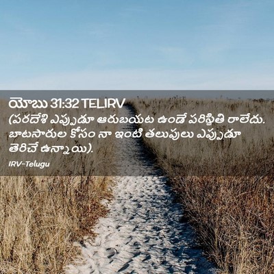 Picture 02 - యోబు 31:32 TELIRV - (పరదేశి ఎప్పుడూ - Bible Verse Picture