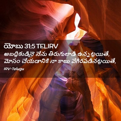 Picture 02 - యోబు 31:5 TELIRV - అబద్ధికుడినై నేను - Bible Verse Picture
