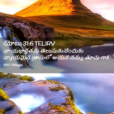 Picture 02 - యోబు 31:6 TELIRV - నా యథార్థతను - Bible Verse Picture
