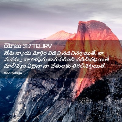 Picture 02 - యోబు 31:7 TELIRV - నేను న్యాయ మార్గం - Bible Verse Picture