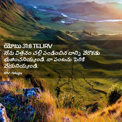 Picture 02 - యోబు 31:8 TELIRV - నేను విత్తనం - Bible Verse Picture