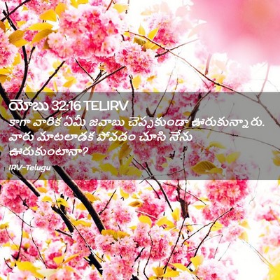 Picture 02 - యోబు 32:16 TELIRV - కాగా వారిక ఏమీ - Bible Verse Picture