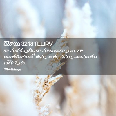 Picture 02 - యోబు 32:18 TELIRV - నా మనస్సునిండా - Bible Verse Picture