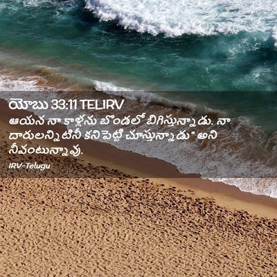Picture 02 - యోబు 33:11 TELIRV - ఆయన నా కాళ్లను - Bible Verse Picture