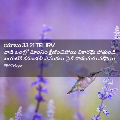 Picture 02 - యోబు 33:21 TELIRV - వాడి ఒంట్లో మాంసం - Bible Verse Picture